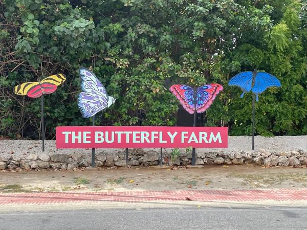 Schmetterlingsfarm Schmetterlingsfarm