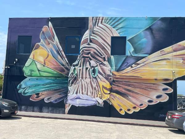 Streetart - Feuerfisch (© Frank Stein) Streetart in San Nicolas