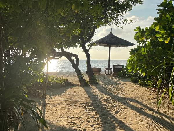 Meerblick vom Bungalow Meerblick vom Bungalow