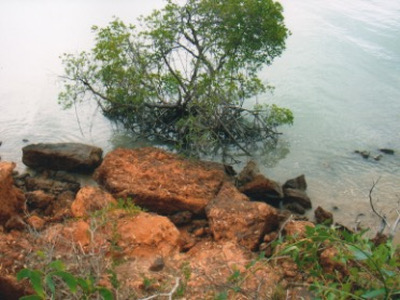 Arnhem Land - Felsplateau Arnhem Land - Felsplateau