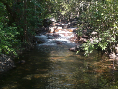 Termite Mounts 3 Termite Mounts