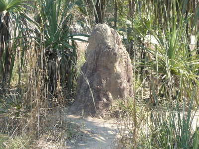 Termite Mounts 2 Termite Mounts