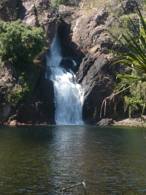 Wangi Falls Wangi Falls