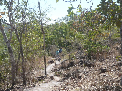 Wangi Fallls Walk 3 Wangi Fallls Walk