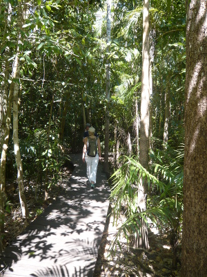 Wangi Fallls Walk Wangi Fallls Walk