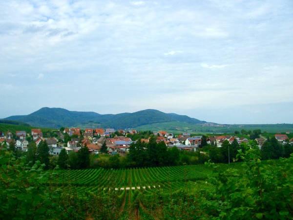 Pfalzpanorama Pfalzpanorama