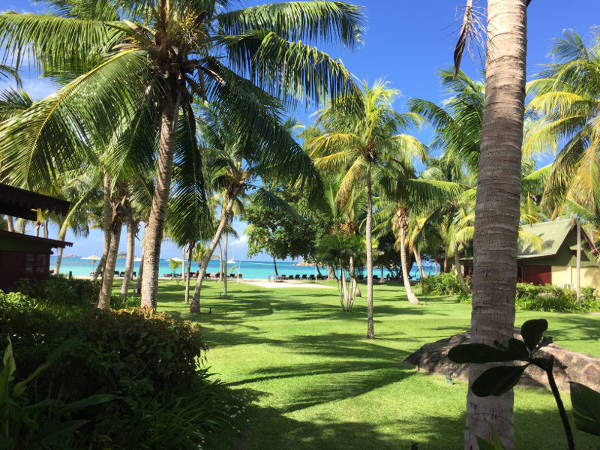 Paradise Sun - Garten