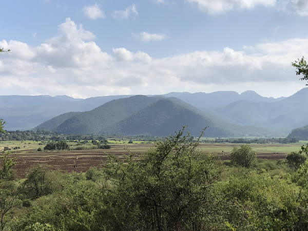 Hannah Lodge Hannah Lodge