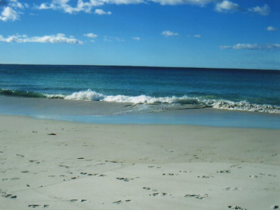 Friendly Beaches Friendly Beaches