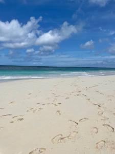 Strand auf Aruba Aruba