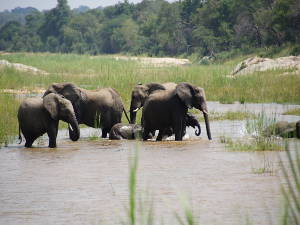 Südafrika Südafrika