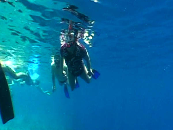 Schnorchler Schnorchler