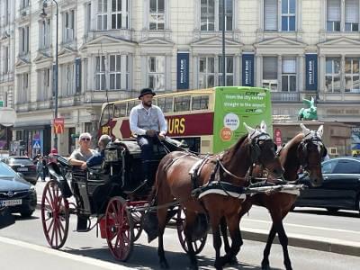 Fiaker - ein Wahrzeichen Wiens Fiaker - ein Wahrzeichen Wiens